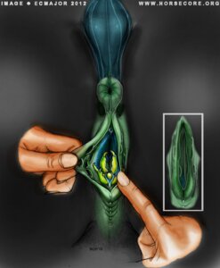 Rating: Explicit Score: 0 Tags: 2012 ambiguous_gender animal_genitalia animal_vulva anus arthropod bestiality changeling_(mlp) claws clawtoris clitoris disembodied_hand duo e621 ecmajor equine_genitalia equine_vulva female female/ambiguous feral fingers friendship_is_magic genital_focus genital_shot genitals green_body green_skin hasbro human human_on_feral interspecies mammal my_little_pony oddrich pov_hands presenting puffy_anus queen_chrysalis_(mlp) spread_vulva spreading unusual_anatomy unusual_genitalia unusual_vulva vaginal_claws vulva vulva_shot what_has_magic_done why User: bunchy7s