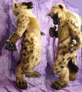Rating: Safe Score: 0 Tags: ambiguous_gender anthro beetlecat clothing costume duo e621 fursuit grandfathered_content hyena mammal real spotted_hyena standing tail text url watermark User: bunchy7s Rating: Safe Score: 0 Tags: ambiguous_gender anthro beetlecat clothing costume duo e621 fursuit grandfathered_content hyena mammal real spotted_hyena standing tail text url watermark User: bunchy7s