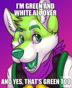 Rating: Safe Score: 0 Tags: 2013 akita anthro canid canine canis clothing domestic_dog e621 english_text fur green_body green_eyes green_fur green_nose green_tongue hoodie husky kadohusky kerchief male mammal meme niic nordic_sled_dog open_mouth purple_clothing solo spitz suggestive teeth text tongue topwear User: bunchy7s