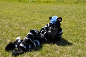 Rating: Safe Score: 0 Tags: black_clothing blue_eyes blue_hair clothing costume day e621 felid fursuit grandfathered_content hair hybrid looking_at_viewer lying male mammal melanistic outside pantherine photography_(artwork) pink_nose real short_hair solo stripes unknown_artist User: bunchy7s Rating: Safe Score: 0 Tags: black_clothing blue_eyes blue_hair clothing costume day e621 felid fursuit grandfathered_content hair hybrid looking_at_viewer lying male mammal melanistic outside pantherine photography_(artwork) pink_nose real short_hair solo stripes unknown_artist User: bunchy7s