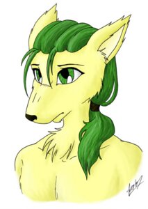 Rating: Safe Score: 0 Tags: anthro bust_portrait canid canine canis chest_tuft domestic_dog e621 fox_lee fur godzuki green_eyes green_hair hair long_hair male mammal portrait simple_background solo tuft white_background wolf zuki User: bunchy7s