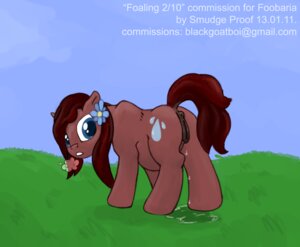 Rating: Explicit Score: 0 Tags: accessory amniotic_fluid anatomically_correct anatomically_correct_genitalia anatomically_correct_vulva animal_genitalia animal_vulva belly big_belly birth blue_eyes bodily_fluids breath brown_body brown_fur brown_hair cloud cutie_mark digital_media_(artwork) e621 earth_pony equid equine equine_genitalia equine_vulva fan_character female feral flower flower_in_hair foaling fur genital_fluids genitals grass hair hair_accessory hasbro horse labor mammal my_little_pony outside plant pony pregnant presenting raindancer raindrop sky smudge_proof solo tail vulva water_breaking User: bunchy7s