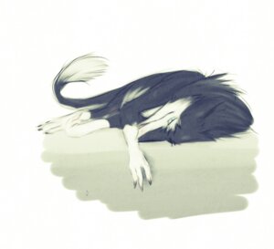 Rating: Safe Score: 0 Tags: blue_eyes claws digitigrade e621 female feral fur looking_at_viewer lying mammal murchetta on_side sergal sidgi simple_background solo tail white_background white_body white_fur User: bunchy7s