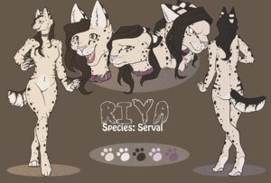 Rating: Questionable Score: 0 Tags: 5_fingers archived_source biped breasts brown_hair collar color_swatch e621 featureless_breasts felid feline female fingers hair mammal model_sheet nude pale0punk pupils riya serval slit_pupils solo tail User: bunchy7s