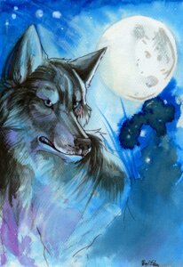 Rating: Safe Score: 0 Tags: ambiguous_gender black_nose canid canine canis detailed_background e621 feral full_moon fur mammal moon night pearleden solo teeth wolf User: bunchy7s Rating: Safe Score: 0 Tags: ambiguous_gender black_nose canid canine canis detailed_background e621 feral full_moon fur mammal moon night pearleden solo teeth wolf User: bunchy7s