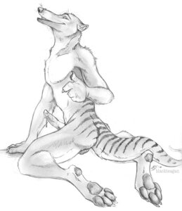 Rating: Explicit Score: 0 Tags: anthro balls blackteagan bodily_fluids cum dasyuromorph e621 erection genital_fluids genitals male mammal marsupial masturbation monochrome nude penis recently_extinct_species solo tail thylacine User: bunchy7s Rating: Explicit Score: 0 Tags: anthro balls blackteagan bodily_fluids cum dasyuromorph e621 erection genital_fluids genitals male mammal marsupial masturbation monochrome nude penis recently_extinct_species solo tail thylacine User: bunchy7s