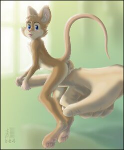 Rating: Explicit Score: 0 Tags: anthro backsack balls blush butt chest_tuft duo e621 fingers fur genitals looking_at_viewer male mammal micro mouse murid murine nude open_mouth paws raised_tail rodent rubbing tail tongue tongue_out tuft wood_mouse zenthetiger User: bunchy7s
