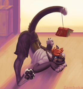 Rating: Safe Score: 0 Tags: 2012 anthro ass_up black_nose black_pawpads blue_eyes book brown_body brown_fur clothed clothing digital_media_(artwork) domestic_cat e621 felid feline felis fur furgonomics hair humor male mammal pawpads paws playful pun raised_tail red_hair solo spread_legs spreading string tail tail_clothing zambuka User: bunchy7s Rating: Safe Score: 0 Tags: 2012 anthro ass_up black_nose black_pawpads blue_eyes book brown_body brown_fur clothed clothing digital_media_(artwork) domestic_cat e621 felid feline felis fur furgonomics hair humor male mammal pawpads paws playful pun raised_tail red_hair solo spread_legs spreading string tail tail_clothing zambuka User: bunchy7s