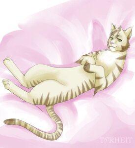 Rating: Safe Score: 0 Tags: ambiguous_gender domestic_cat e621 felid feline felis green_eyes looking_at_viewer lying mackerel_tabby mammal on_back solo tail torheit-die-katze User: bunchy7s Rating: Safe Score: 0 Tags: ambiguous_gender domestic_cat e621 felid feline felis green_eyes looking_at_viewer lying mackerel_tabby mammal on_back solo tail torheit-die-katze User: bunchy7s