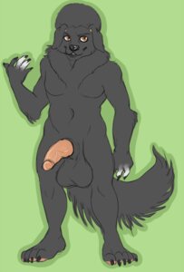 Rating: Explicit Score: 0 Tags: 5_fingers 5_toes anthro balls big_balls biped black_nose claws e621 erection feet fingers fur genitals grey_body grey_fur grey_hair hair haradoshin hybrid looking_away lucien_(foxieninja19) male nude penis red_eyes simple_background smile solo toes tuft vein veiny_penis User: bunchy7s
