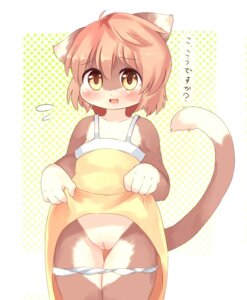 Rating: Explicit Score: 0 Tags: 2010 akitaka anthro blush bottomless bottomwear brown_hair clothed clothing clothing_lift domestic_cat dress dress_lift e621 felid feline felis female fur genitals hair inviting japanese_text kemono loli looking_at_viewer mammal open_mouth panties panties_down partially_clothed presenting presenting_vulva short_hair simple_background skirt skirt_lift solo tail text translated underwear underwear_down vulva white_background yellow_eyes young young_anthro young_female User: bunchy7s