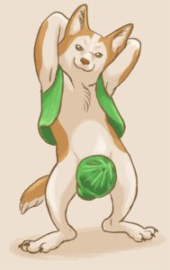 Rating: Questionable Score: 0 Tags: 3_toes anthro barefoot biped canid canine canis claws clothed clothing cosmin domestic_dog e621 feet flat_cap front_view fur hands_behind_head hat hat_on_penis headgear headwear herding_dog looking_at_viewer male mammal partially_clothed pastoral_dog penis_clothing penis_hat pose sickeleye simple_background smile solo standing tail tan_body tan_fur toes topwear vest welsh_corgi User: bunchy7s