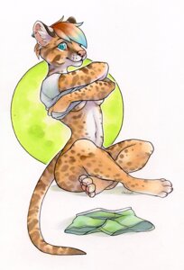 Rating: Questionable Score: 0 Tags: anthro blonde_hair blue_eyes blue_hair bottomless breasts brown_body brown_fur brown_hair clothed clothing clothing_lift dinobutt e621 ear_piercing feet felid feline female fur hair hindpaw leopardus looking_at_viewer mammal marker_(artwork) multicolored_hair ocelot pawpads paws piercing pink_nose rainbow rainbow_hair shirt shirt_lift solo topwear traditional_media_(artwork) under_boob undressing white_body white_fur User: bunchy7s