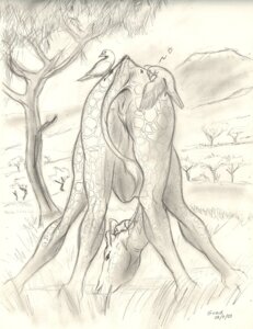 Rating: Explicit Score: 0 Tags: 2009 anatomically_correct anatomically_correct_genitalia anatomically_correct_vulva animal_genitalia animal_vulva anus avian bird butt detailed_background e621 female feral genitals giraffe giraffe_vulva giraffid graphite_(artwork) grazing group heart_symbol hi_res humor larger_female long_neck looking_at_viewer looking_back looking_back_at_viewer looking_through_legs_at_viewer mammal monochrome mountain nature nude outside plant rear_view scale_(artist) sepia signature size_difference sketch solo_focus tail tail_anus traditional_media_(artwork) tree vulva wood User: bunchy7s