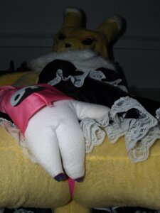 Rating: Questionable Score: 0 Tags: 3:4 anthro bandai_namco black_sclera canid canine clothing costume digimon digimon_(species) e621 female franchii-manchii fur fursuit grandfathered_content mammal photography_(artwork) real renamon solo white_body white_fur yellow_body yellow_fur User: bunchy7s Rating: Questionable Score: 0 Tags: 3:4 anthro bandai_namco black_sclera canid canine clothing costume digimon digimon_(species) e621 female franchii-manchii fur fursuit grandfathered_content mammal photography_(artwork) real renamon solo white_body white_fur yellow_body yellow_fur User: bunchy7s