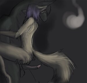Rating: Explicit Score: 0 Tags: anthro anthro_on_anthro canid canine digital_media_(artwork) duo e621 erection fox fur genitals knot male male/male mammal nude penis simple_background tail unavailable_at_source wingless_chimera User: bunchy7s