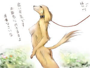 Rating: Questionable Score: 0 Tags: 4:3 anthro black_collar breasts canid canine canis collar collar_only domestic_dog e621 female fur japanese_text leash lucifa mammal nipples nude simple_background solo tail text translation_request white_background User: bunchy7s Rating: Questionable Score: 0 Tags: 4:3 anthro black_collar breasts canid canine canis collar collar_only domestic_dog e621 female fur japanese_text leash lucifa mammal nipples nude simple_background solo tail text translation_request white_background User: bunchy7s