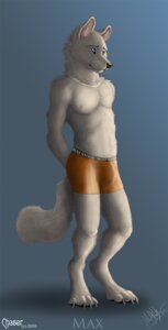 Rating: Questionable Score: 0 Tags: anthro biped blue_eyes boxer_briefs bulge canid canine canis chasington clothing e621 eyebrow_piercing eyebrow_ring facial_piercing fur grey_body grey_fur jewelry looking_away male mammal necklace piercing ring_piercing simple_background solo standing underwear wolf User: bunchy7s