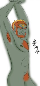 Rating: Explicit Score: 0 Tags: fighting-wolf-fist ganondorf ganondorf_(twilight_princess) male male_only nude rule34 solo solo_male tagme the_legend_of_zelda twilight_princess User: bunchy7s