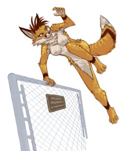Rating: Questionable Score: 0 Tags: anthro biped breasts canid canine casual_nudity chain-link_fence countershade_arms countershade_face countershade_legs countershade_torso countershading digital_media_(artwork) disregarding_notices e621 english_text female fence fox fur hi_res jumping mammal naturally_censored nipple_outline nipple_tuft nude on_fence pira rebel simple_background solo tail text tuft white_background white_body white_countershading User: bunchy7s