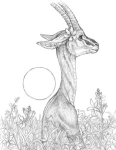 Rating: Safe Score: 0 Tags: 2011 accessory bagheera e621 female flower flower_in_hair greyscale hair hair_accessory horn monochrome outside plant simple_background sketch solo unknown_species white_background User: bunchy7s