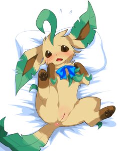 Rating: Explicit Score: 0 Tags: 4_toes anus bed blush brown_body brown_eyes brown_fur brown_nose butt canid canine chest_tuft clitoris digitigrade e621 eeveelution fangs feet female feral fur furniture generation_4_pokemon genitals hindpaw humanoid_genitalia humanoid_vulva kemono leaf leaf_tail leafeon leg_markings looking_at_viewer lying mammal markings nintendo no_sclera nude on_back open_mouth pawpads paws pillow pokemon pokemon_(species) presenting presenting_anus presenting_hindquarters presenting_vulva ribbons simple_background socks_(marking) solo spread_legs spreading tail tan_body tan_fur teeth toes tuft vulva wkar User: bunchy7s Rating: Explicit Score: 0 Tags: 4_toes anus bed blush brown_body brown_eyes brown_fur brown_nose butt canid canine chest_tuft clitoris digitigrade e621 eeveelution fangs feet female feral fur furniture generation_4_pokemon genitals hindpaw humanoid_genitalia humanoid_vulva kemono leaf leaf_tail leafeon leg_markings looking_at_viewer lying mammal markings nintendo no_sclera nude on_back open_mouth pawpads paws pillow pokemon pokemon_(species) presenting presenting_anus presenting_hindquarters presenting_vulva ribbons simple_background socks_(marking) solo spread_legs spreading tail tan_body tan_fur teeth toes tuft vulva wkar User: bunchy7s