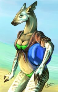 Rating: Safe Score: 0 Tags: 2009 5:8 anthro ball beach beach_ball bikini biped breasts clothed clothing detailed_background e621 female giraffid holding_ball holding_object inflatable mammal okapi outside pool_toy riftryu sand sea seaside skimpy sky solo standing summer swimwear tight_clothing two-piece_swimsuit water User: bunchy7s