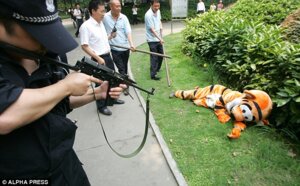 Rating: Safe Score: 0 Tags: daily_mail disney e621 english_text felid grandfathered_content grass group gun holding_gun holding_object holding_ranged_weapon holding_weapon male mammal pantherine plant police ranged_weapon real text tiger tigger unknown_artist weapon winnie_the_pooh_(franchise) User: bunchy7s Rating: Safe Score: 0 Tags: daily_mail disney e621 english_text felid grandfathered_content grass group gun holding_gun holding_object holding_ranged_weapon holding_weapon male mammal pantherine plant police ranged_weapon real text tiger tigger unknown_artist weapon winnie_the_pooh_(franchise) User: bunchy7s
