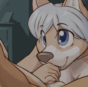 Rating: Explicit Score: 0 Tags: ajin anthro blue_eyes canid canine canis domestic_dog duo e621 erection eye_contact fellatio female female_penetrated genitals looking_at_another male male/female male_penetrating male_penetrating_female mammal oral oral_penetration penetration penile penis sex User: bunchy7s Rating: Explicit Score: 0 Tags: ajin anthro blue_eyes canid canine canis domestic_dog duo e621 erection eye_contact fellatio female female_penetrated genitals looking_at_another male male/female male_penetrating male_penetrating_female mammal oral oral_penetration penetration penile penis sex User: bunchy7s