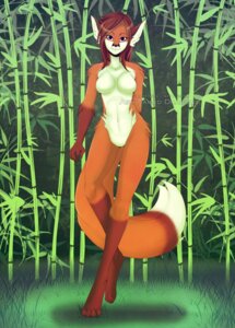 Rating: Safe Score: 0 Tags: 2013 anthro ashtaileddragons biped blue_eyes breasts brown_hair canid canine crossed_legs detailed_background distracting_watermark e621 feet female fox front_view fur grass hair leg_markings long_hair long_legs looking_at_viewer mammal markings nature nude on_one_leg orange_body orange_fur outside paws pinup plant pose seductive socks_(marking) solo standing watermark User: bunchy7s