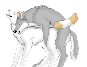 Rating: Explicit Score: 0 Tags: airisu all_fours canid canine canis doggystyle duo e621 eyes_closed female feral feral_on_feral from_behind_position hi_res male male/female mammal open_mouth sex side_view simple_background tail white_background wolf User: bunchy7s Rating: Explicit Score: 0 Tags: airisu all_fours canid canine canis doggystyle duo e621 eyes_closed female feral feral_on_feral from_behind_position hi_res male male/female mammal open_mouth sex side_view simple_background tail white_background wolf User: bunchy7s