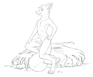 Rating: Explicit Score: 0 Tags: 2011 anthro bagheera balls canid canine e621 erection fox genitals hi_res knot male mammal monochrome nude penis simple_background solo tail white_background User: bunchy7s