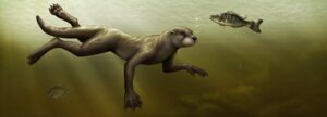 Rating: Safe Score: 0 Tags: 4_toes 5_fingers anthro aquatic barefoot casual_nudity cedarwolf claws detailed digitigrade e621 feet feral fingers fish fur group male mammal membrane_(anatomy) mustelid nude otter ripple_lighting side_view size_difference solo_focus swimming tail toes underwater water webbed_feet webbed_hands User: bunchy7s