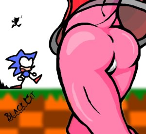 Rating: Explicit Score: 0 Tags: amy_rose anthro blackcat blue_body blue_fur butt e621 eulipotyphlan female fur genitals group hedgehog male mammal nude pink_body presenting presenting_hindquarters sega sonic_the_hedgehog sonic_the_hedgehog_(series) toony vulva User: bunchy7s