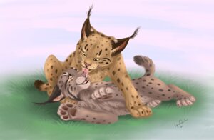 Rating: Safe Score: 0 Tags: 2011 ambiguous_gender brown_body brown_fur digital_media_(artwork) digital_painting_(artwork) digitigrade duo e621 eye_contact face_lick felid feline feral fur grass licking looking_at_another lying lynx mammal markings nude painting_(artwork) paws plant quadruped reallynxgirl signature smile spots spotted_body spotted_fur tail tan_body tan_fur tongue tongue_out User: bunchy7s