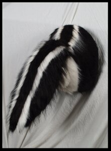 Rating: Explicit Score: 0 Tags: ambiguous_gender black_body black_border black_fur black_tail border creepy dark_body dark_fur e621 feral fur grandfathered_content mammal mephitid multicolored_body multicolored_fur multicolored_tail plushie real sex_toy skunk solo striped_skunk tail two_tone_body two_tone_fur two_tone_tail unavailable_at_source what what_has_science_done white_body white_fur white_tail willowfox User: bunchy7s Rating: Explicit Score: 0 Tags: ambiguous_gender black_body black_border black_fur black_tail border creepy dark_body dark_fur e621 feral fur grandfathered_content mammal mephitid multicolored_body multicolored_fur multicolored_tail plushie real sex_toy skunk solo striped_skunk tail two_tone_body two_tone_fur two_tone_tail unavailable_at_source what what_has_science_done white_body white_fur white_tail willowfox User: bunchy7s