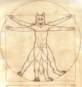 Rating: Explicit Score: 0 Tags: 2005 animal_genitalia anthro balls biped canid canine canis claws diagram digitigrade e621 extended_arms feet front_view fully_sheathed fur genitals humanoid_hands inspired_by_formal_art korrok looking_at_viewer male mammal monochrome navel nude parody sheath simple_background sketch solo spread_arms t-pose tail vitruvian_man wolf User: bunchy7s