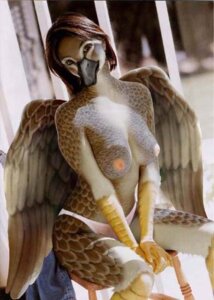 Rating: Questionable Score: 0 Tags: anatid anseriform anthro avian beak bird breasts clothing duck e621 feathered_wings feathers feet female nipples non-mammal_breasts non-mammal_nipples panties photo_manipulation photomorph silverfish_(artist) solo talons third-party_edit toes underwear wings User: bunchy7s
