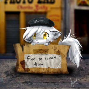Rating: Safe Score: 0 Tags: 1:1 adoption_box ambiguous_gender anthro bodily_fluids box city clothing container crying digital_media_(artwork) domestic_cat e621 english_text felid feline felis fluffy fluffy_tail hat headgear headwear in_box in_container mammal outside sad shaded skeleion solo tail tears text young young_ambiguous young_anthro User: bunchy7s