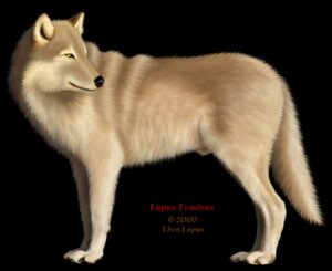 Rating: Explicit Score: 0 Tags: abstract_background anatomically_correct anatomically_correct_genitalia animal_genitalia barely_visible_genitalia barely_visible_sheath black_background black_lips black_nose canid canine canis claws copyright_symbol digital_media_(artwork) e621 ebon_lupus english_text feral fluffy fluffy_tail fully_sheathed fur genitals inner_ear_fluff lips male mammal northwestern_wolf paws photorealism realistic sheath simple_background solo symbol tail tan_body tan_fur text tuft wolf yellow_eyes yellow_sclera User: bunchy7s Rating: Explicit Score: 0 Tags: abstract_background anatomically_correct anatomically_correct_genitalia animal_genitalia barely_visible_genitalia barely_visible_sheath black_background black_lips black_nose canid canine canis claws copyright_symbol digital_media_(artwork) e621 ebon_lupus english_text feral fluffy fluffy_tail fully_sheathed fur genitals inner_ear_fluff lips male mammal northwestern_wolf paws photorealism realistic sheath simple_background solo symbol tail tan_body tan_fur text tuft wolf yellow_eyes yellow_sclera User: bunchy7s