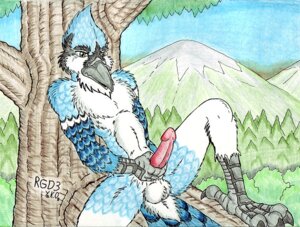 Rating: Explicit Score: 0 Tags: anthro atsumori999 avian balls beak bird blue_body blue_feathers blue_jay branch corvid e621 erection feathers genitals humanoid_genitalia humanoid_penis in_tree jay_(bird) male masturbation new_world_jay on_branch oscine outside passerine penile penile_masturbation penis plant solo tail tail_feathers tree white_body white_feathers User: bunchy7s