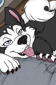 Rating: Safe Score: 0 Tags: ambiguous_gender anthro black_body black_fur blue_eyes canid canine canis close-up domestic_dog duo e621 first_person_view fur head_on_lap high-angle_view husky looking_pleasured mammal markings nordic_sled_dog on_lap open_mouth solo_focus spitz tail tongue tongue_out white_markings zeriara User: bunchy7s Rating: Safe Score: 0 Tags: ambiguous_gender anthro black_body black_fur blue_eyes canid canine canis close-up domestic_dog duo e621 first_person_view fur head_on_lap high-angle_view husky looking_pleasured mammal markings nordic_sled_dog on_lap open_mouth solo_focus spitz tail tongue tongue_out white_markings zeriara User: bunchy7s