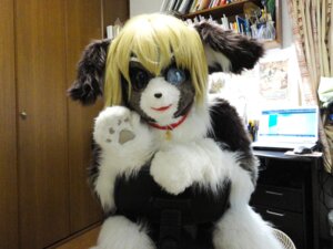 Rating: Safe Score: 0 Tags: 4:3 anthro bodysuit canid canine canis clothing collar computer costume domestic_dog e621 electronics fursuit gesture grandfathered_content inside laptop male mammal marie_(tetetor-oort) mask paws real skinsuit smile solo tetetor-oort tight_clothing waving User: bunchy7s Rating: Safe Score: 0 Tags: 4:3 anthro bodysuit canid canine canis clothing collar computer costume domestic_dog e621 electronics fursuit gesture grandfathered_content inside laptop male mammal marie_(tetetor-oort) mask paws real skinsuit smile solo tetetor-oort tight_clothing waving User: bunchy7s