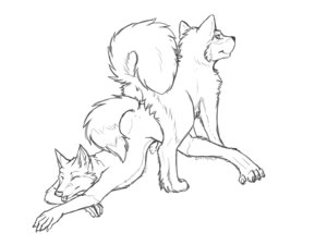 Rating: Explicit Score: 0 Tags: 2012 4:3 anthro anthro_on_feral anthro_penetrated ass_to_ass ass_up bestiality canid canine canis catwolf domestic_dog duo e621 erection eyes_closed feral feral_penetrating feral_penetrating_anthro fox genitals interspecies intraspecies intraspecies_bestiality knotting lying male male/male male_penetrated male_penetrating male_penetrating_male mammal monochrome on_front penetration penis raised_tail sex sketch tail tongue tongue_out User: bunchy7s