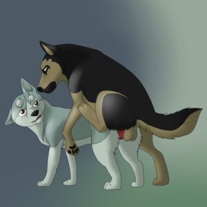 Rating: Explicit Score: 0 Tags: 1:1 akita all_fours anal anal_penetration canid canine canis doggystyle domestic_dog duo e621 erection feral feral_on_feral from_behind_position fur genitals german_shepherd gin_(ginga) ginga_(series) herding_dog john_(ginga) male male/male male_penetrated male_penetrating male_penetrating_male mammal murderous nude pastoral_dog penetration penis sex simple_background spitz User: bunchy7s