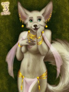 Rating: Questionable Score: 0 Tags: 3:4 anthro breasts canid canine clothed clothing e621 ear_piercing female fennec_fox fox harem harem_outfit jewelry kierstal mammal necklace nipples nude piercing solo tail topless true_fox User: bunchy7s