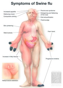 Rating: Explicit Score: 0 Tags: anatomy biological_illustration body_horror domestic_pig e621 english_text flaccid genitals internal male mammal medical_illustration nude organs parody penis slightly_chubby solo suid suine sus_(pig) swatcher swine_flu technical_illustration text transformation tusks User: bunchy7s
