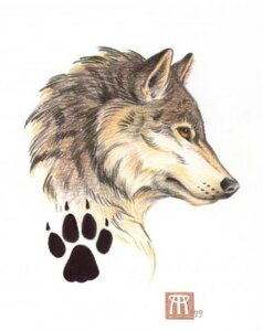 Rating: Safe Score: 0 Tags: 1999 ambiguous_form ambiguous_gender bust_portrait canid canine canis e621 footprint fur grey_body grey_fur mammal melissa-a-benson pawprint portrait side_view simple_background solo white_background wolf User: bunchy7s