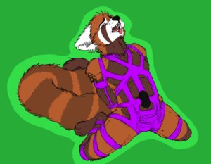 Rating: Explicit Score: 0 Tags: 4_toes ailurid animal_genitalia anthro bdsm bondage bound e621 ears_back erection feet genitals looking_at_viewer male mammal penis pivoted_ears red_panda sheath solo submissive submissive_male szhival szhival_cherniakov tail teeth toes tongue tongue_out User: bunchy7s