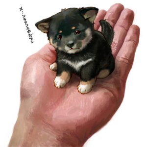 Rating: Safe Score: 0 Tags: 1:1 ambiguous_gender canid canine canis chobi disembodied_hand domestic_dog duo e621 feral first_person_view gentle_giant holding_character human human_pov larger_human mammal micro pov_hands realistic shiba_inu size_difference spitz toriny young young_feral User: bunchy7s Rating: Safe Score: 0 Tags: 1:1 ambiguous_gender canid canine canis chobi disembodied_hand domestic_dog duo e621 feral first_person_view gentle_giant holding_character human human_pov larger_human mammal micro pov_hands realistic shiba_inu size_difference spitz toriny young young_feral User: bunchy7s